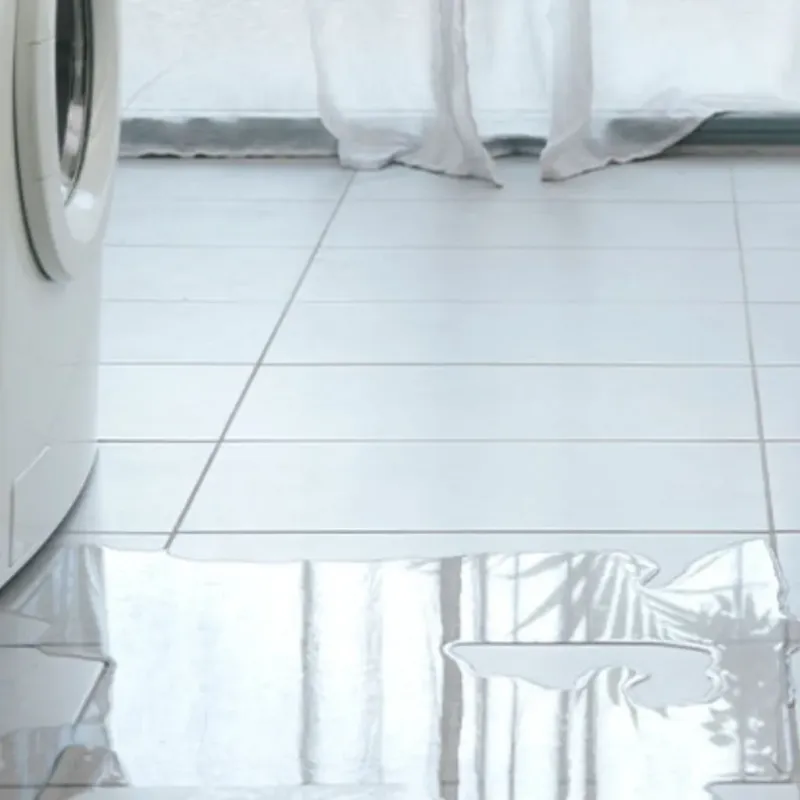 Appliance Leak Cleanup in East Rockingham, NC