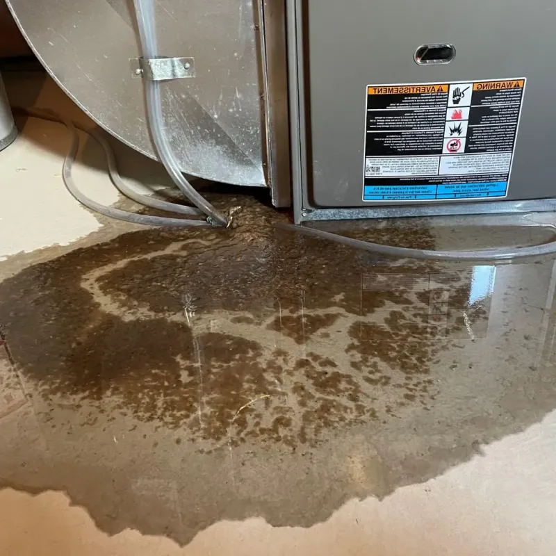 Pipe Burst and Leak Restoration in East Rockingham, NC