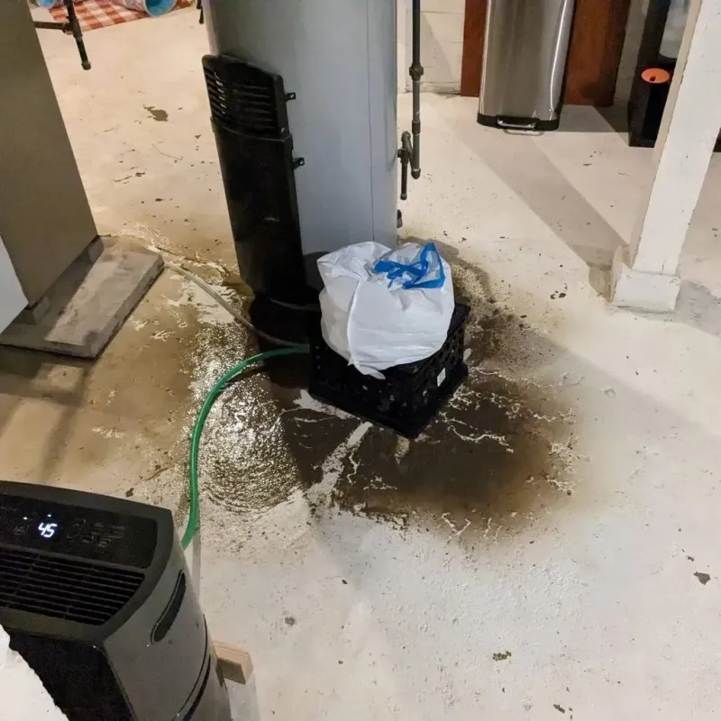 Sewage Backup Cleanup Service in East Rockingham, NC